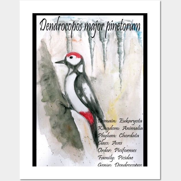 Woodpecker Wall Art by artbyluko